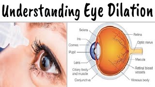 Why Its Important to Have a Dilated Eye Exam [upl. by Hbahsur]