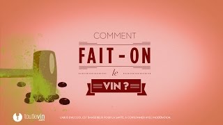 Comment faiton le vin   toutlevincom [upl. by Citron535]