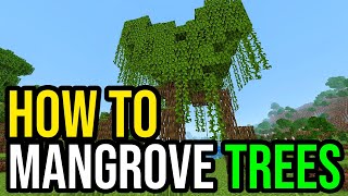 How To Grow amp Use Mangrove Trees In Minecraft [upl. by Ubana]