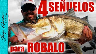 4 Señuelos para pescar ROBALO  2022 [upl. by Olivie423]