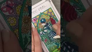 The Fool Card  Tarot Meanings [upl. by Stanislaw]