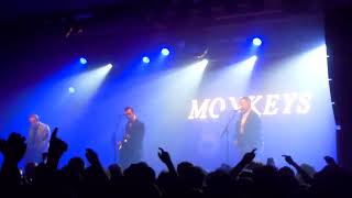 ANTARCTIC MONKEYS Live O2 ACADEMY LIVERPOOL 19112022 [upl. by Yelnik]