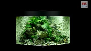 Juwel Aquarium Trigon 190 Einrichtungsbeispiel  Tutorial [upl. by Barbour623]