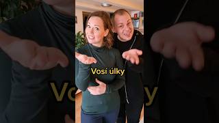 Jak to máte vy Vosí  včelíhnízda úlky [upl. by Tamaru693]