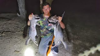 CAZANDO LA COMIDA VIZCACHA Y NUTRIA aventura en el monte 🐗 [upl. by Miki]