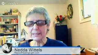 How to Talk to Animals – Animal Communication Training Series with Guest Nedda Wittels [upl. by Spoor]