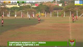 SUB14 NORDESTE PAULISTA 2024 GRÊMIO 10X0 AV3 [upl. by Inad]