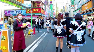 Akihabara Walk in Tokyo 💖 Paradise Town ♪ 4K ASMR Nonstop 1 hour 02 minutes [upl. by Enilamme]