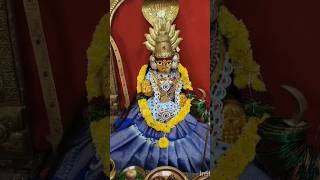 Maremma thalli🙏 youtube maremma durgapuja vlog ytshorts shortfeed shorts [upl. by Giesser]