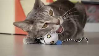 Petlinks® Lemur Lights™ electronic cat toy [upl. by Llehsyt]