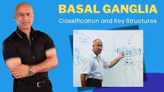 Basal Ganglia Classification and Key Structures  Neuroanatomy [upl. by Linnie844]