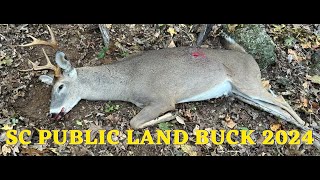 SC PUBLIC LAND BUCK 2024 [upl. by Chadburn]