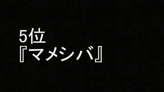 「坂本真綾」 おすすめソング ランキング [upl. by Anma]