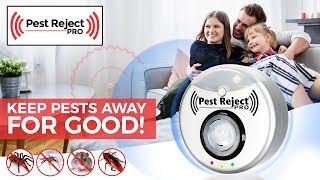 Pest Reject Pro  Creepy [upl. by Rik]