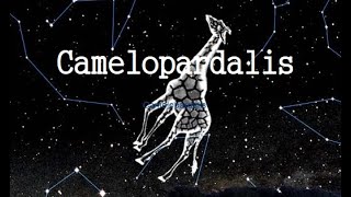 The Camelopardalis constellation Information history [upl. by Claiborne19]