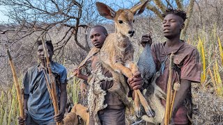 Hadzabe Tribe  See How Hadzabe Catch And Eat Their Food [upl. by Elatnahc289]