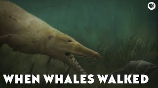 When Whales Walked [upl. by Dewhurst]