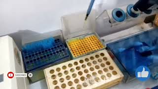 Calibration of Blood Urea Test on Microlab 300 in Urdu  Blood Urea Test Procedure  Microlab [upl. by Cawley363]