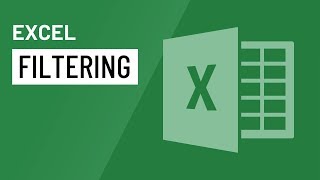 Excel Filtering Data [upl. by Aicitan429]