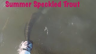 Summer Speckled Trout Wade Fishing in Baffin Bay Texas [upl. by Gnilrets991]