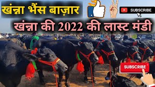 पशु मंडी खंन्ना 28122022 Live coverage at pashu mandi Khanna Haryana Murrah Buffaloes for sale [upl. by Oahc]