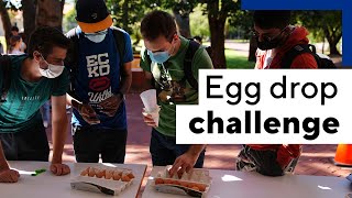 The Engineering egg drop challenge [upl. by Imekawulo]