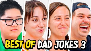 Dad Jokes  Dont laugh Challenge  Best Moments 3  Raise Your Spirits [upl. by Latricia937]