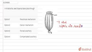 In Aristolochia seed dispersal takes place through [upl. by Atiuqcaj]