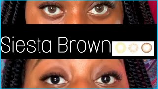 NATURAL CONTACT FOR DARK BROWN EYES siesta weekly crystal shades brown  ColorCL Shop Review [upl. by Thor943]