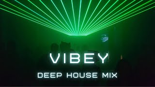 Vibey Deep House Mix [upl. by Oeflein]