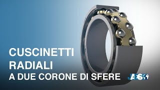 Cuscinetti Radiali a due corone di sfere [upl. by Eissel]