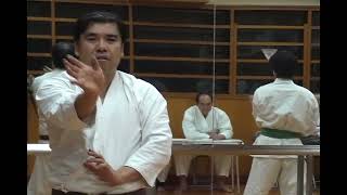 Kihon in IKO Honbu Dojo in Tokyo 2010 Part 3 [upl. by Stoll498]