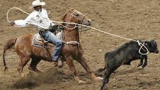 Competencia de Lazo y Barril en Caballos  TvAgro por Juan Gonzalo Angel [upl. by Patin147]