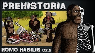 Homo Habilis  Przedsiębiorczy Padlinożerca  Prehistoria  Odc4  Historia na Szybko [upl. by Lewellen]