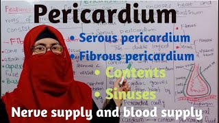 Pericardium  layers sinuses of pericardium  contents nerve supply blood supply thorax anatomy [upl. by Rosen]