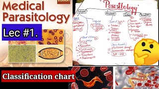 parasitology 🛑 🛑 🛑 CLASSIFICATION CHART protozoa nematode cestodes trematodes microbiology [upl. by Gaile]