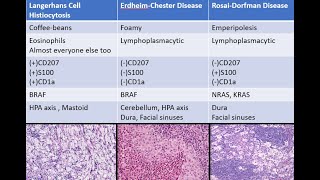 CNS Histiocytosis Langerhans Erdheim Chester Rosai Dorfman ALK [upl. by Naynek]