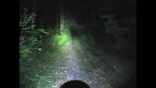 SKYRAY 3T6 4000Lm 3x CREE XML XML T6 LED Flashlight тестирование в лесу [upl. by Phipps776]