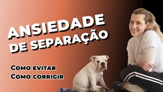 Guia completo para prevenir a ansiedade de separação em cachorros [upl. by Janus568]