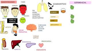 Legionella pneumophila [upl. by Stultz]