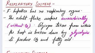 Fasciola hepatica Part 3 [upl. by Stretch]