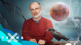 Wie entsteht ein Blutmond  Harald Lesch [upl. by Waddington]