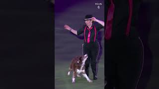 Dancing Into First Place  Crufts 2024 [upl. by Pantheas]