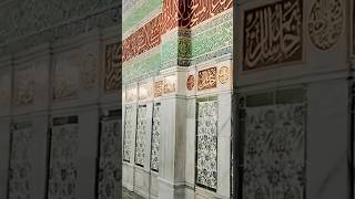 Wo mra Nabwi hai madina naat mashallah reading shortvideo 2024 [upl. by Celio725]