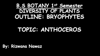 Anthoceros by Rizwana Nawaz [upl. by Nytsirc]