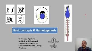 Basic Concepts and Gametogenesis [upl. by Guntar]