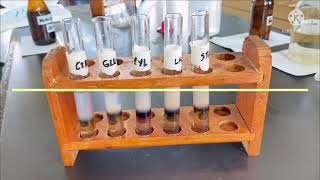 Biochemistry Lab Molisch test Bials Orcinol test and Seliwanoffs test [upl. by Noraed935]