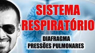 Sistema Respiratório  Diafragma e Pressões Pulmonares  Anatomia Humana  VídeoAula 020 [upl. by Yentroc266]