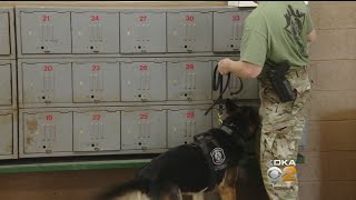 Policy Hearing Held As Police Depts Struggle To Fund K9 Programs [upl. by Pelligrini]