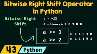 Bitwise Right Shift Operator in Python [upl. by Eiramave]